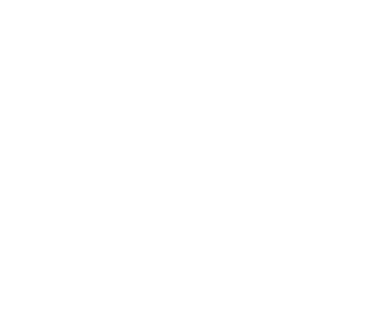 Brand Fuel logo